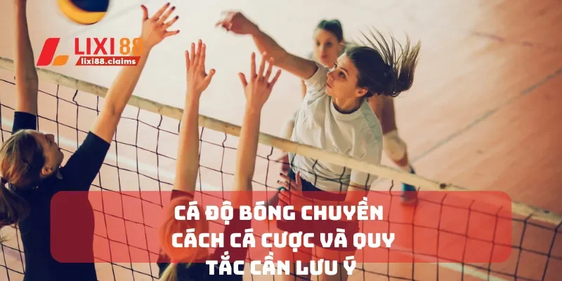 Cá độ bóng chuyền